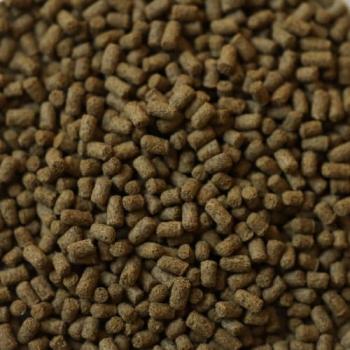 Preview: Dupla DuplaRin Axolotl Snack 85g